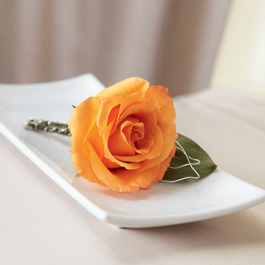 Lifetime of Love Boutonniere –  Maison Des Fleur Blossome, Laval PQ