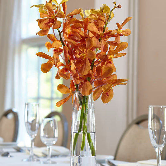 Orange Mokara Bud Vase –  Maison Des Fleur Blossome, Laval PQ