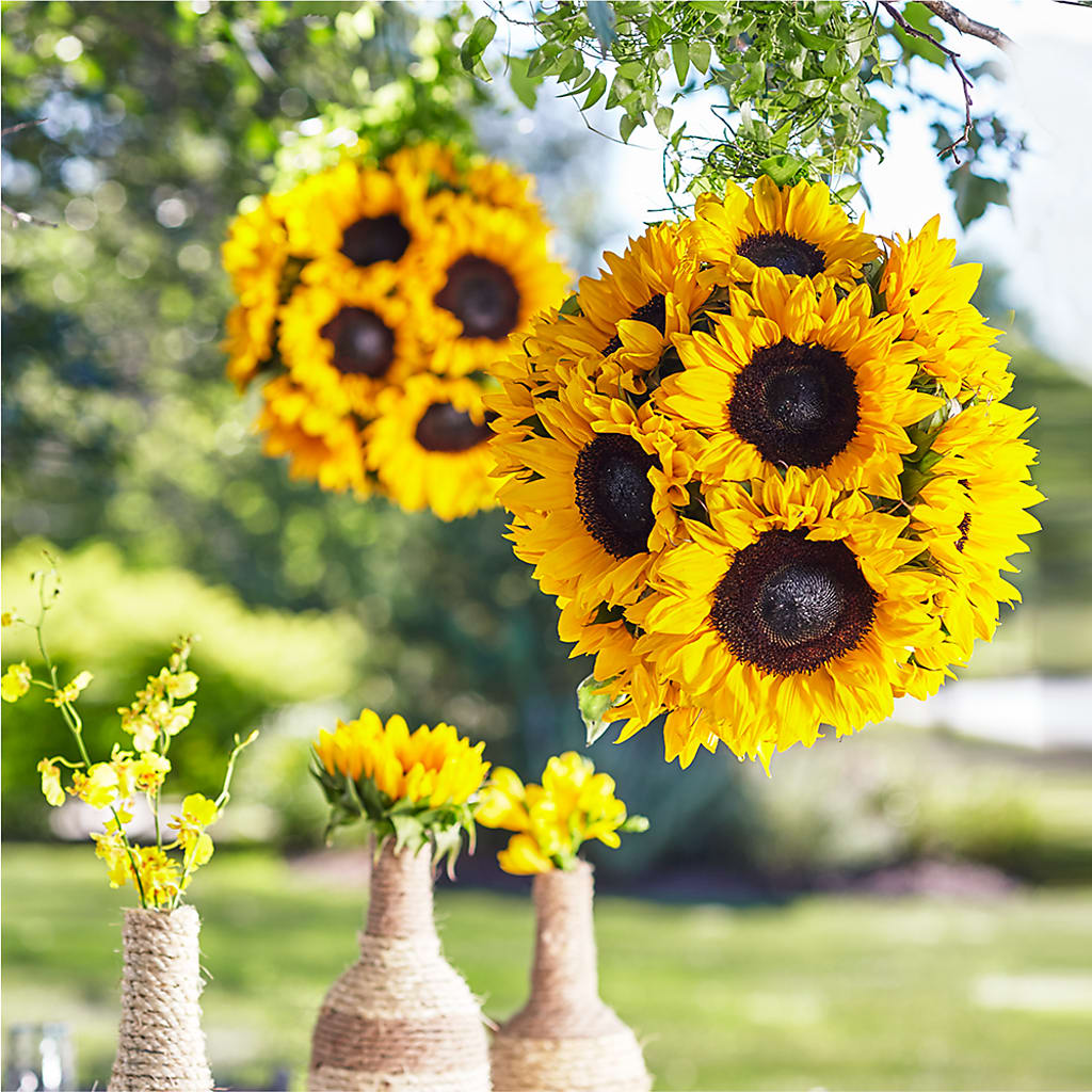 Sublime Garden Hanging Arrangement –  Maison Des Fleur Blossome, Laval PQ