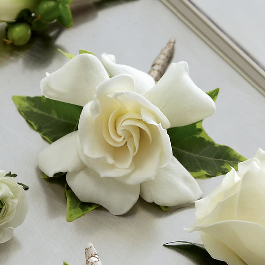 Gardenia Boutonniere –  Maison Des Fleur Blossome, Laval PQ