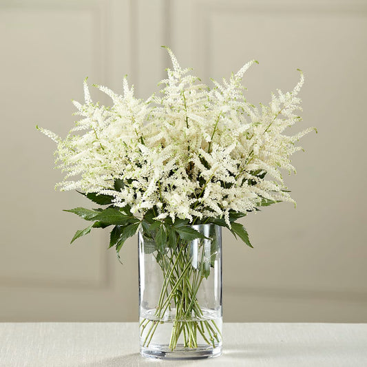 White Astilbe Bouquet –  Maison Des Fleur Blossome, Laval PQ