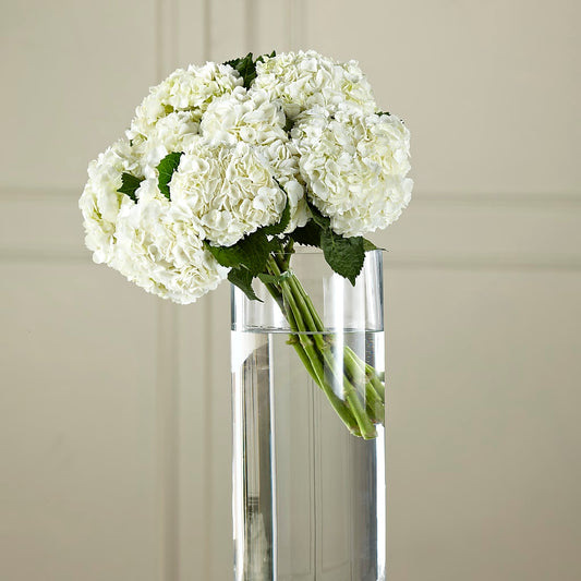 White Hydrangea Hand-Tied Bouquet –  Maison Des Fleur Blossome, Laval PQ