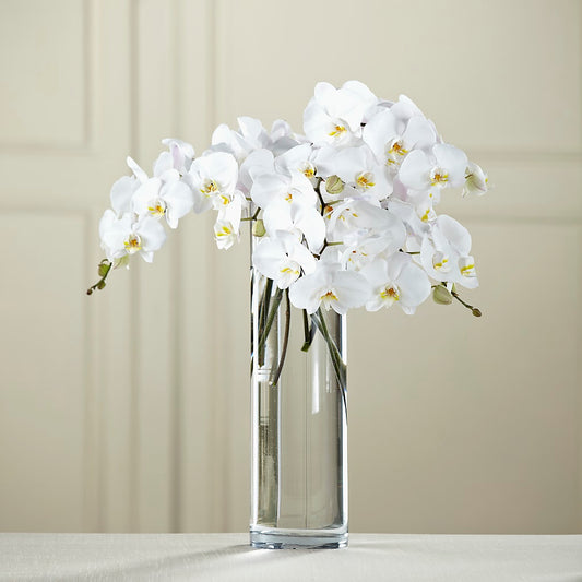 White Phalaenopsis Bouquet –  Maison Des Fleur Blossome, Laval PQ