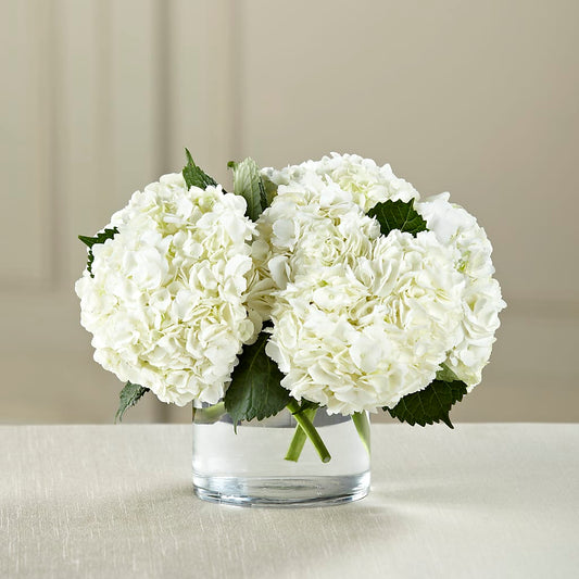 White Hydrangea Bouquet –  Maison Des Fleur Blossome, Laval PQ