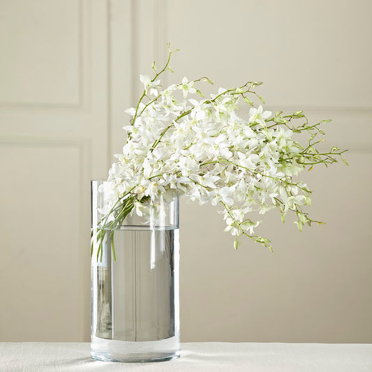 White Dendrobium Bouquet –  Maison Des Fleur Blossome, Laval PQ