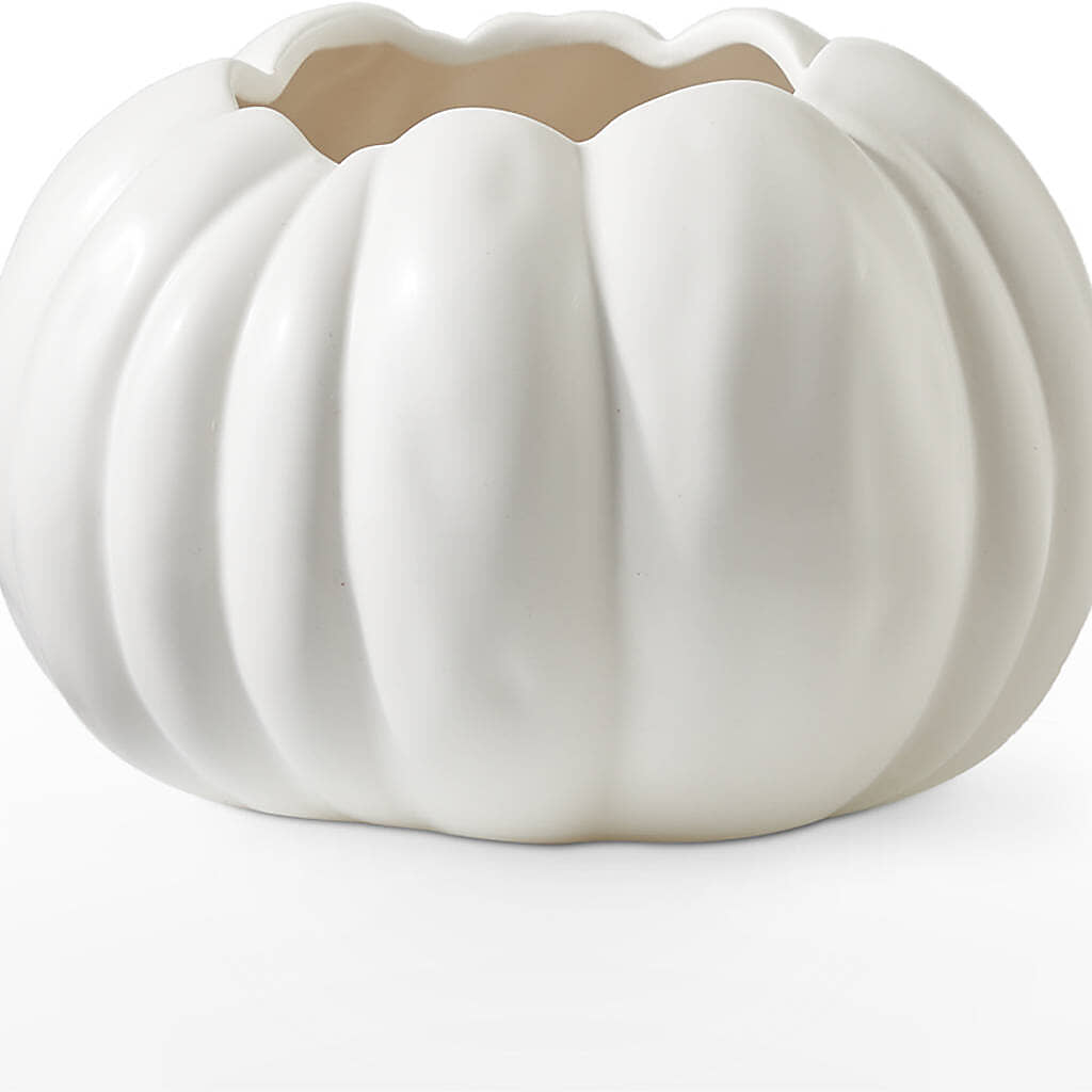 Pumpkin to Talk About Bouquet –  Maison Des Fleurs Blossome Inc, Lachine PQ